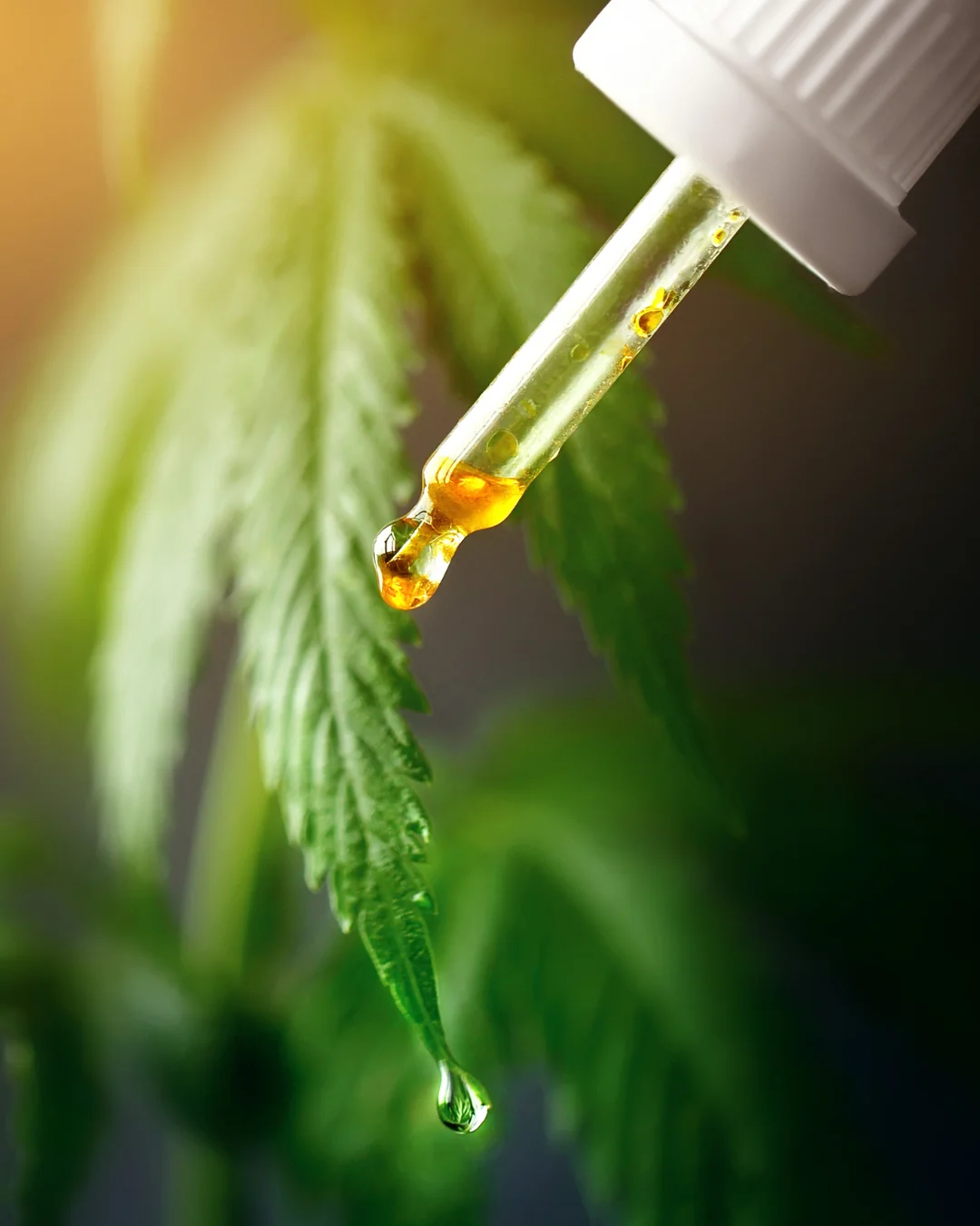 Dr. Marcelo Marins | Médico Prescritor - Conta-gotas liberando um óleo de can4bin0ide dourado sobre uma folha, simbolizando a essência natural do tratamento.